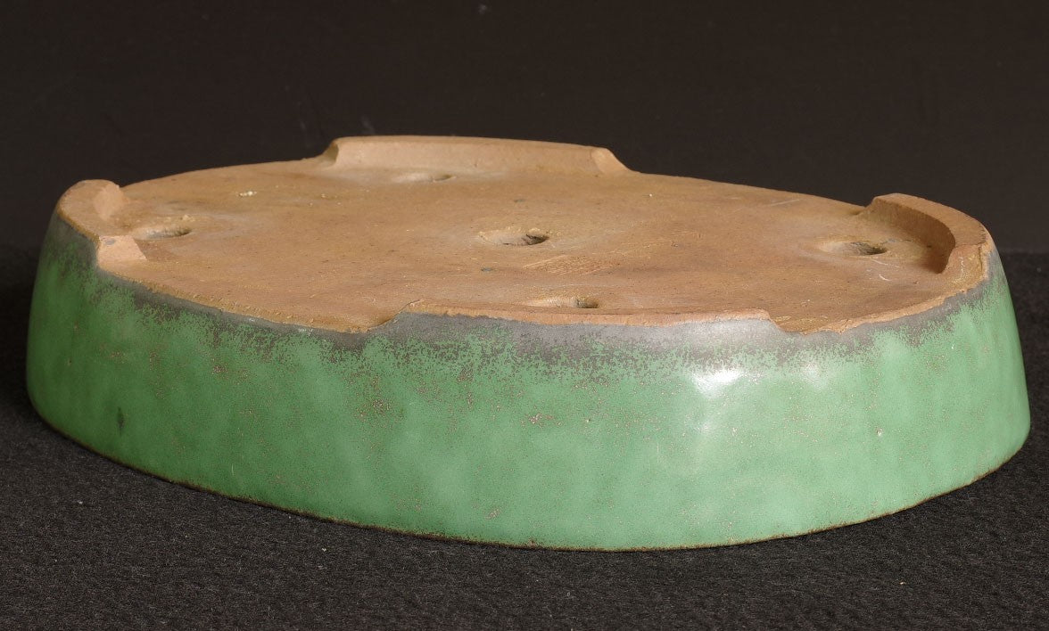 Tokoname Bonsai Pot SHUHO Green Glazed  Oval Handmade  Width 32.2 cm (12.68 in.)